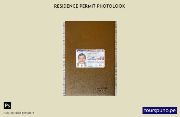 listo para imprimir permiso de residencia en Alemania presente fotolook plantill